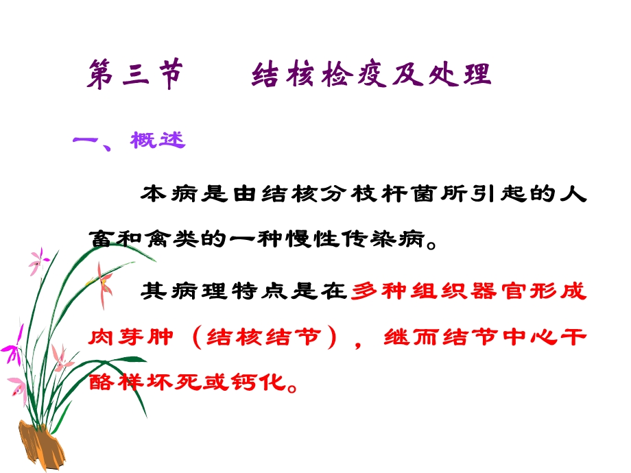 《结核检疫》PPT课件.ppt_第2页