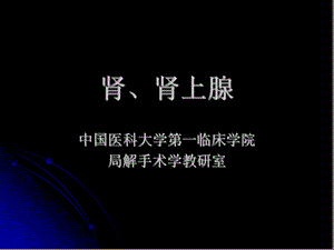 《肾的局部解剖》PPT课件.ppt