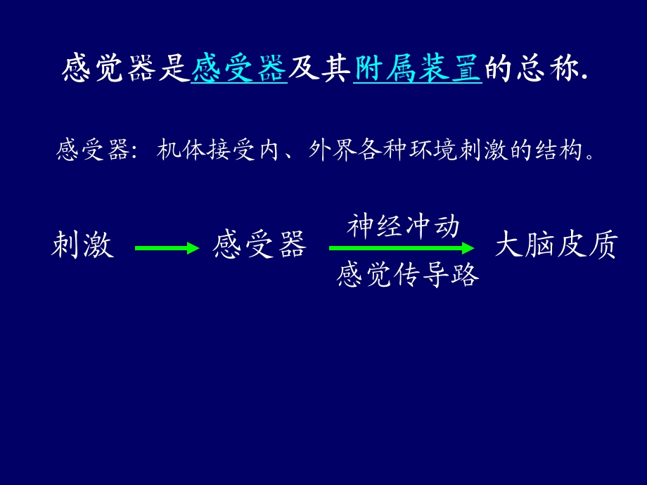 《视器前庭蜗器》PPT课件.ppt_第2页