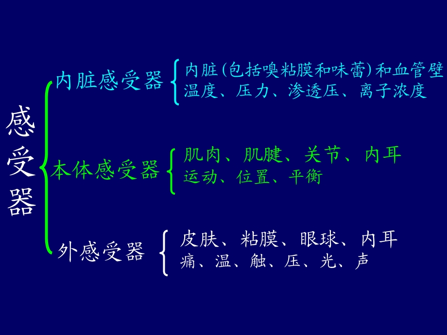 《视器前庭蜗器》PPT课件.ppt_第3页