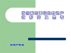 《知识产权形势》PPT课件.ppt