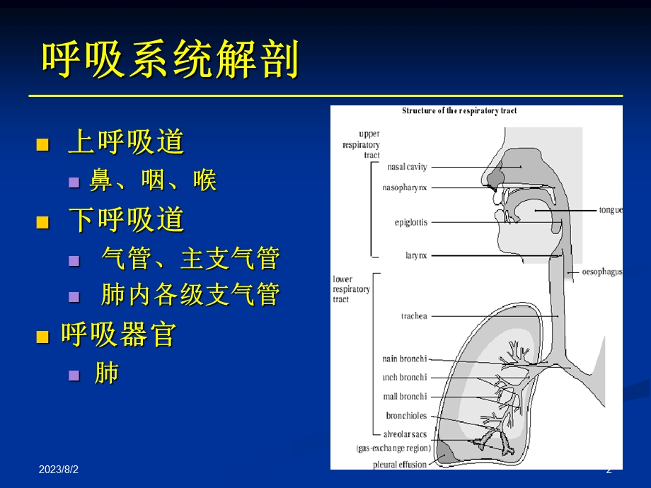 《辅助呼吸技术》PPT课件.ppt_第2页