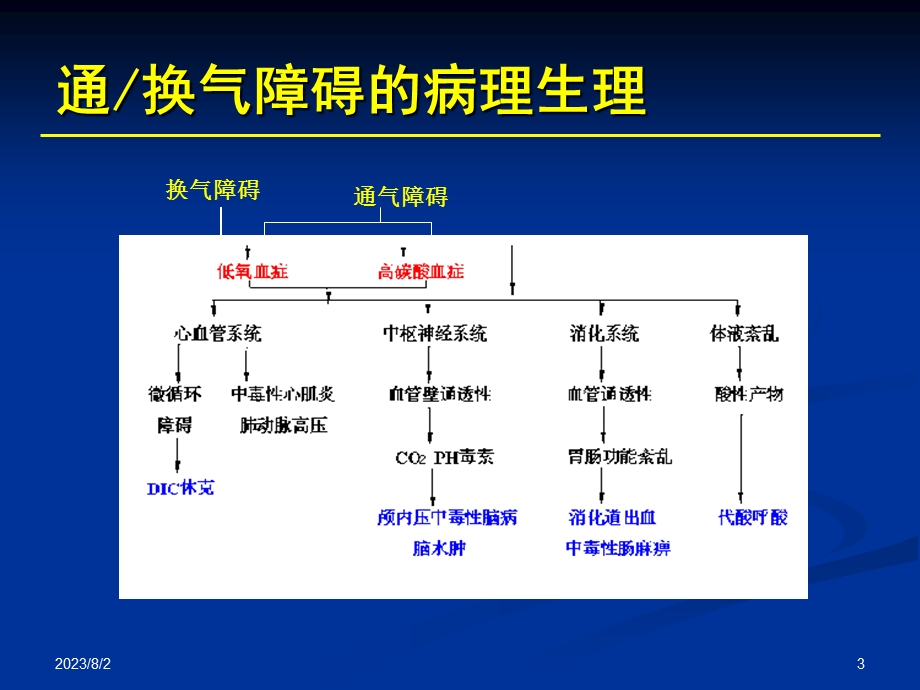 《辅助呼吸技术》PPT课件.ppt_第3页