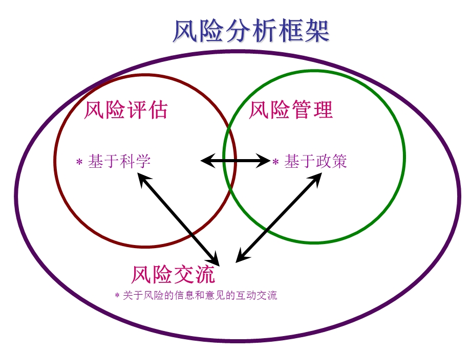 《风险分析框架》PPT课件.ppt_第2页