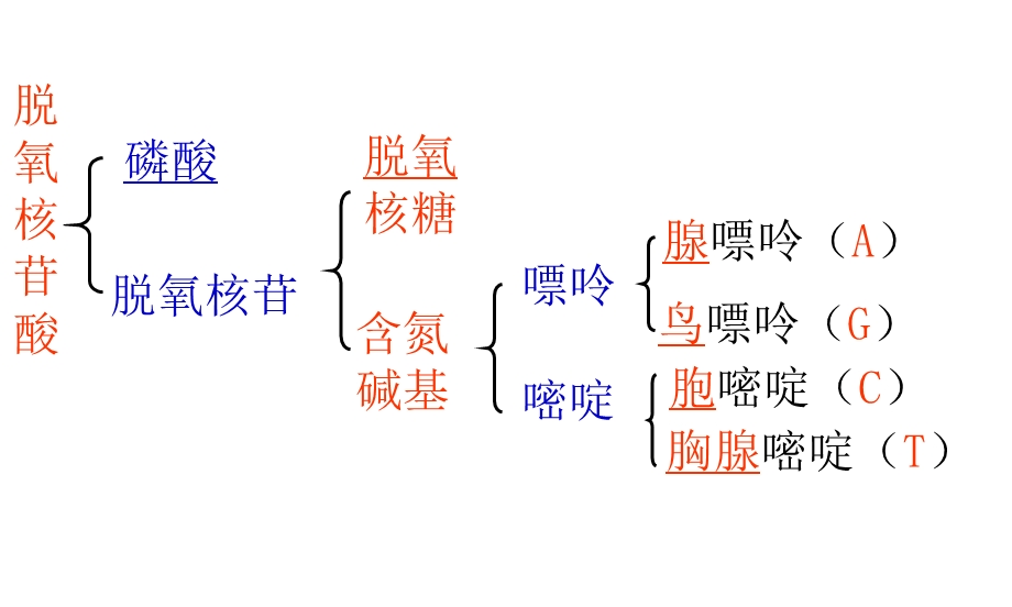 [党团建设]多聚酶链式反应扩增DNA片段.ppt_第3页