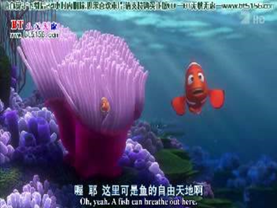 《海洋生物美术》PPT课件.ppt_第2页