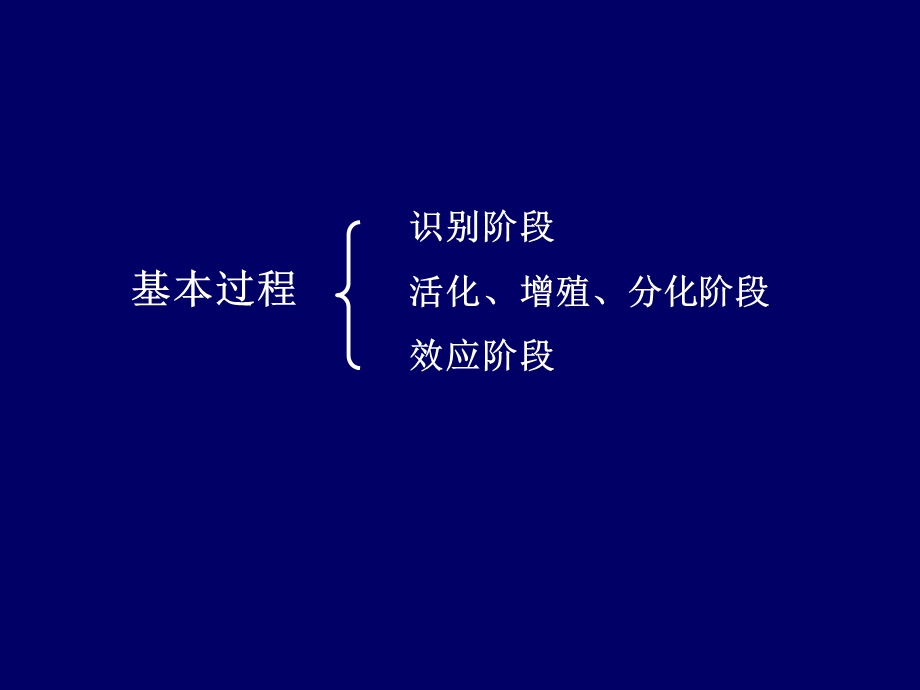 《适应免疫应答》PPT课件.ppt_第3页