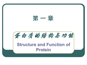 《蛋白质结构与功能》PPT课件.ppt