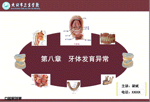 《牙体发育异常》PPT课件.ppt