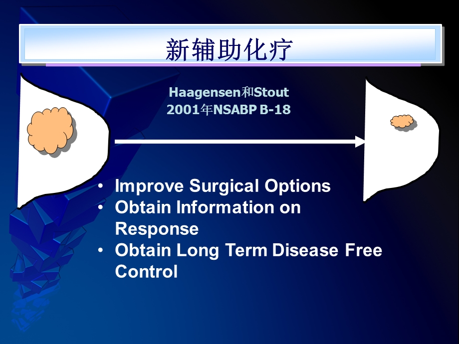 新辅助12.ppt_第2页