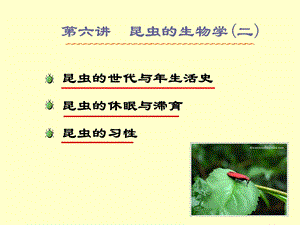 《昆虫生物学》PPT课件.ppt