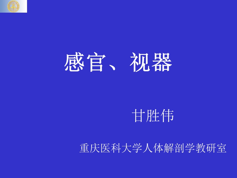 《视器和位听器》PPT课件.ppt_第1页