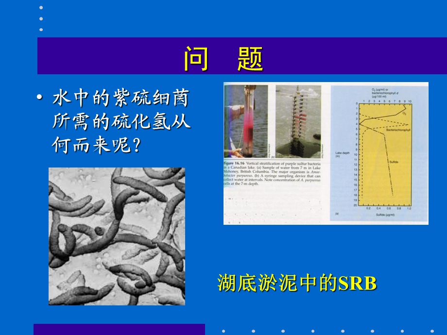 《细菌的生理特性》PPT课件.ppt_第3页