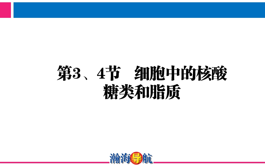 第3、4节细胞中的核酸糖类和脂质.ppt_第1页