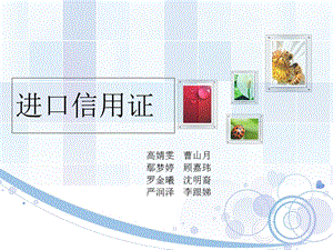 《进口信用证》PPT课件.ppt