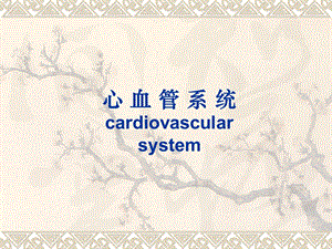 心血管系统显像 ppt课件.ppt