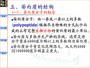 《蛋白质的结构》PPT课件.ppt