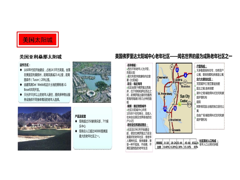 《项目案名建议》PPT课件.ppt_第2页