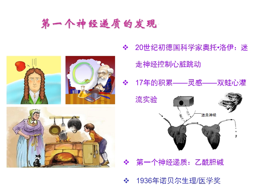 《神经递质总论》PPT课件.ppt_第2页