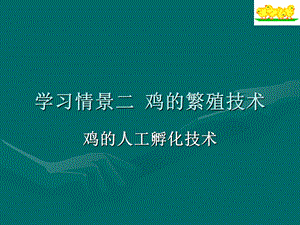 《鸡的孵化技术》PPT课件.ppt