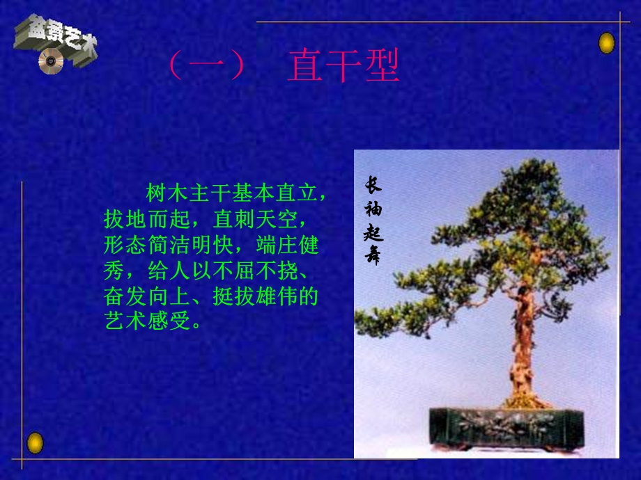 《树桩盆景造型》PPT课件.ppt_第3页