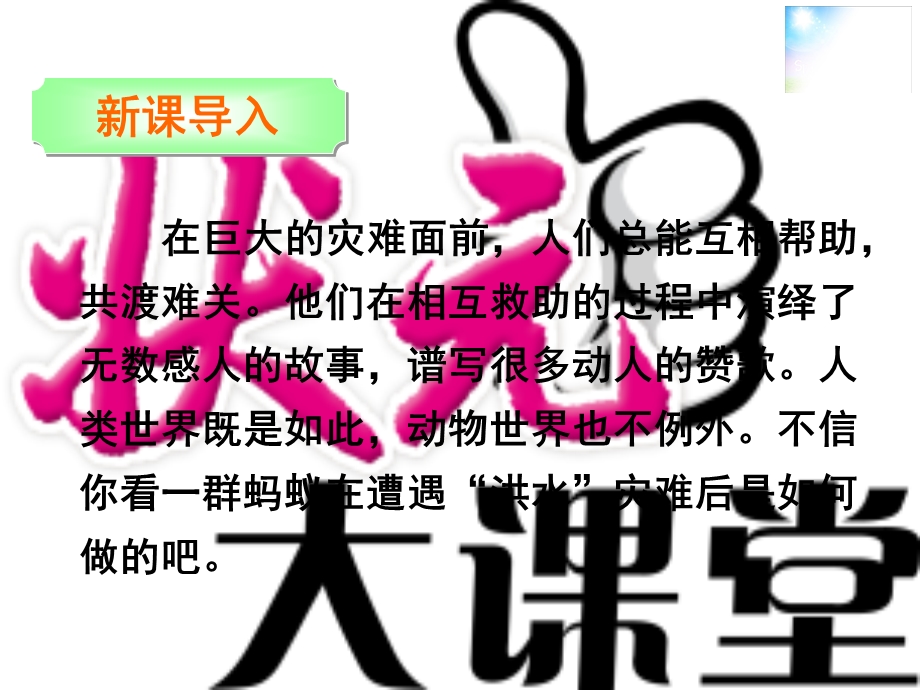 《蚂蚁的救助》PPT课件.ppt_第2页