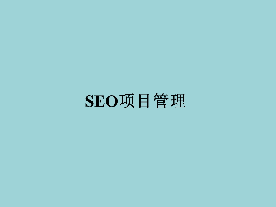 《seo项目管理》PPT课件.ppt_第1页