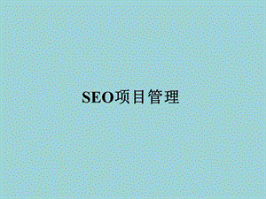 《seo项目管理》PPT课件.ppt