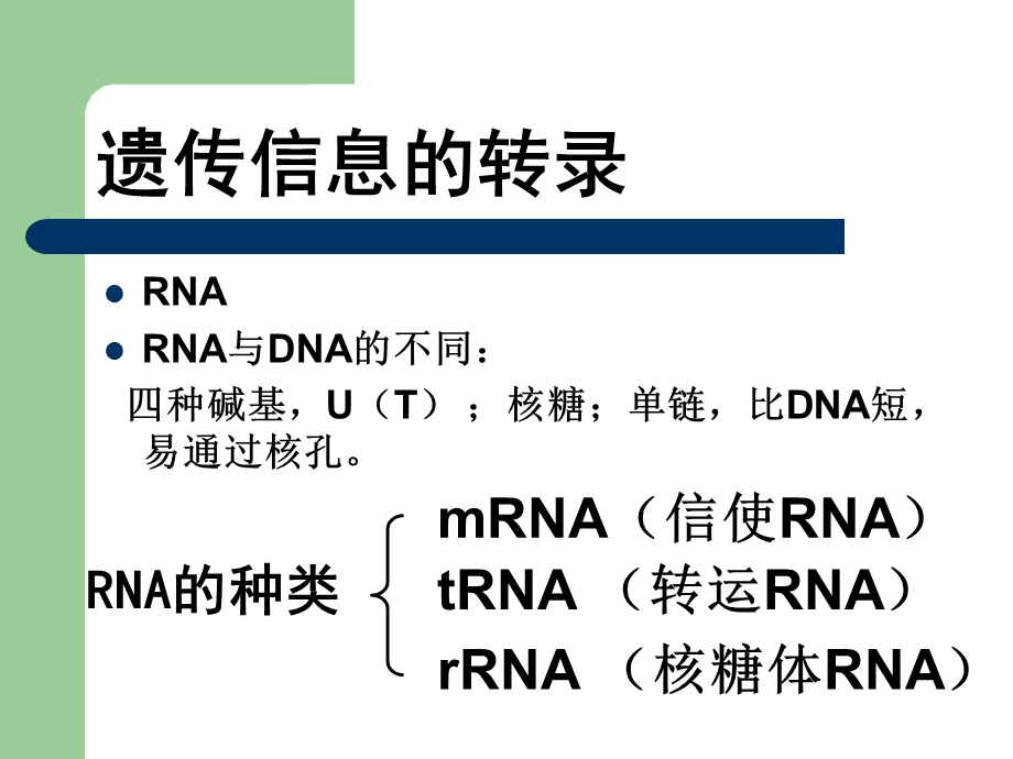 《转录和翻译》PPT课件.ppt_第3页