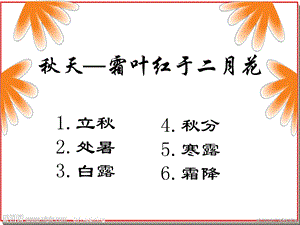 《农历的天空秋》PPT课件.ppt