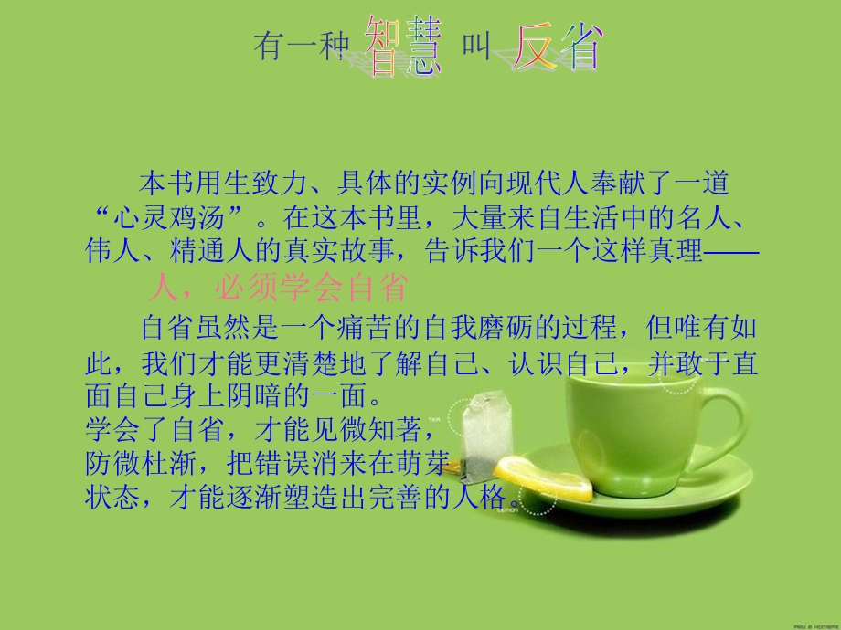 有一种智慧叫反省演示文稿.ppt_第3页