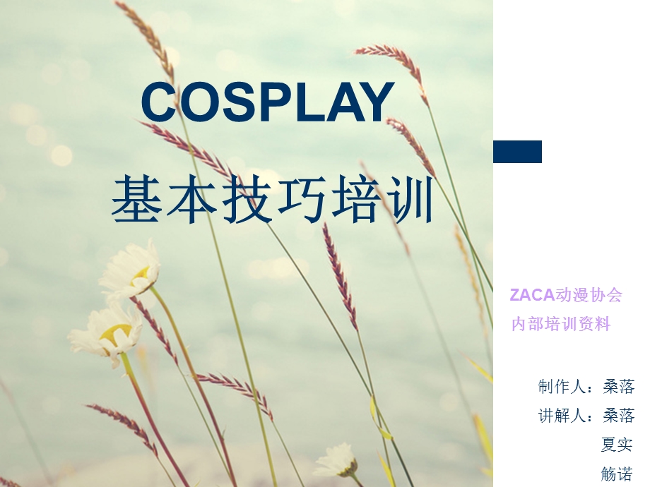 cos新人入门技巧培训.ppt_第1页