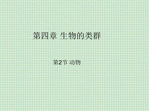 《鱼类和两栖类》PPT课件.ppt