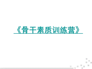 《骨干训练营》PPT课件.ppt