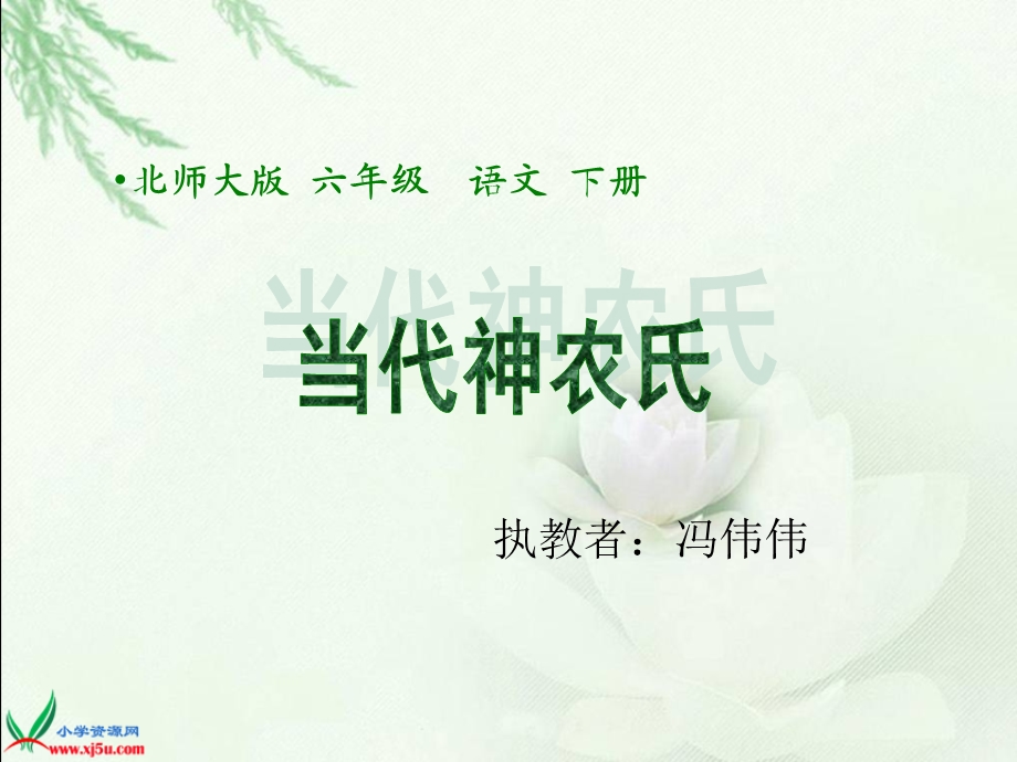 当代神农氏课件(北师大版.ppt_第1页