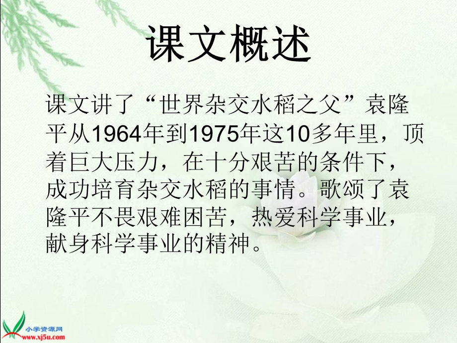 当代神农氏课件(北师大版.ppt_第2页