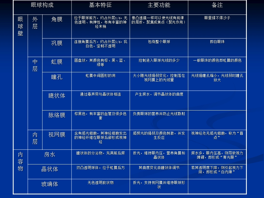 《眼睛视觉器官》PPT课件.ppt_第3页