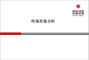 《终端形象分析》PPT课件.ppt