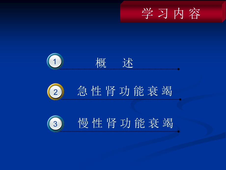 《肾功能不全》PPT课件.ppt_第2页