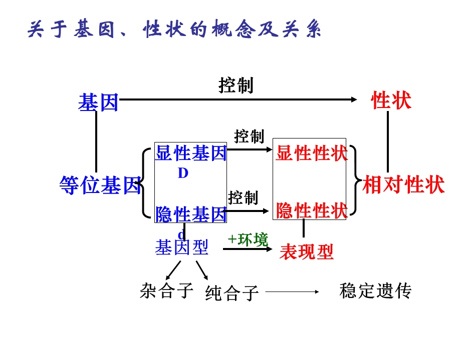 遗传的基本规律及应用课件.ppt_第2页