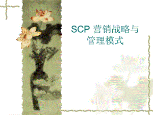 SCP营销战略与管理模式.ppt