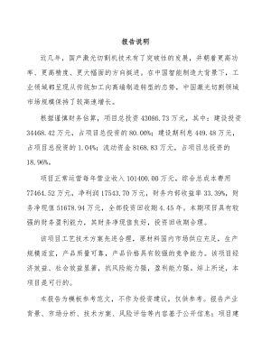 南京激光切割控制设备项目可行性研究报告.docx