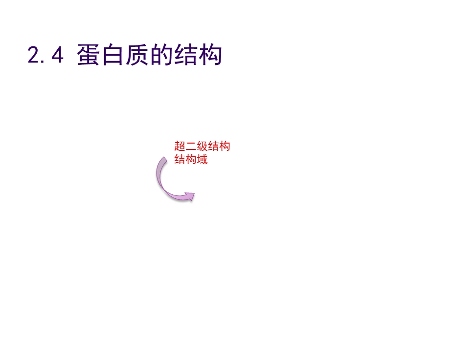 《蛋白质结构》PPT课件.ppt_第1页