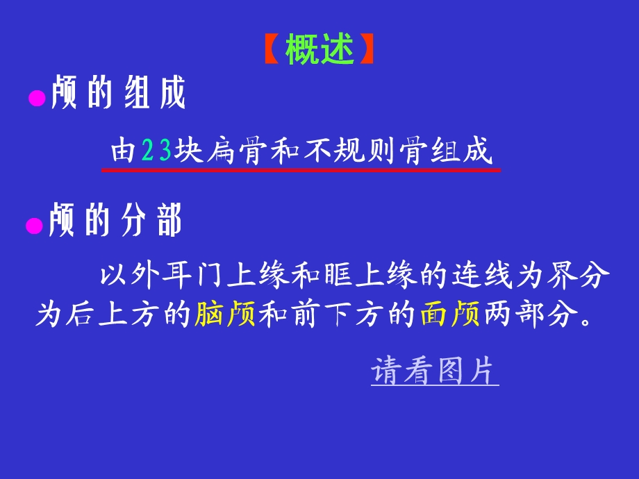 《颅骨与连结》PPT课件.ppt_第2页