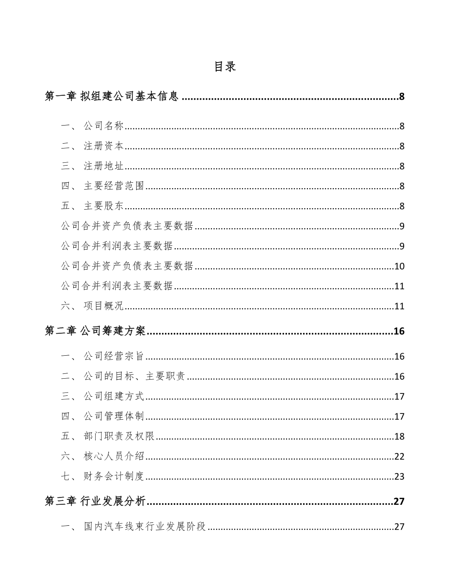 南充关于成立汽车线束公司可行性研究报告.docx_第2页