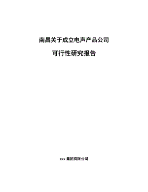 南昌关于成立电声产品公司可行性研究报告.docx