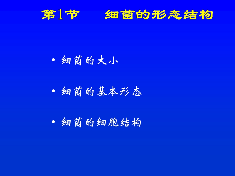 《形态结构》PPT课件.ppt_第3页