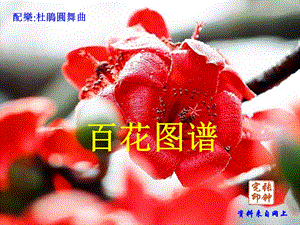 《百花图谱》PPT课件.ppt