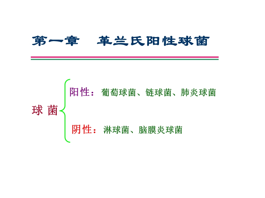 《革兰氏阳性球菌》PPT课件.ppt_第2页