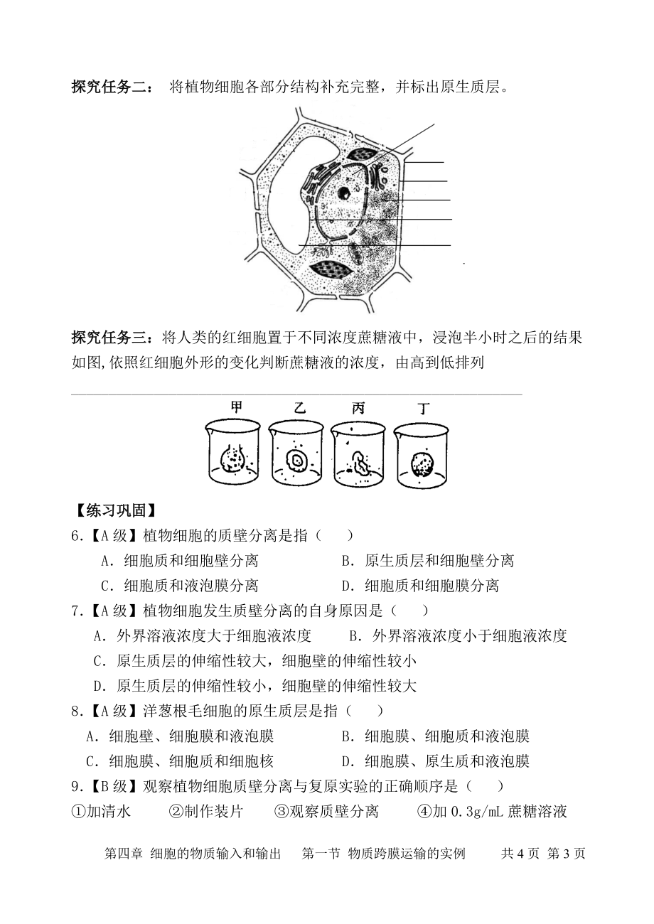 41物质跨膜运输的实例导学案宋珍珍.doc_第3页